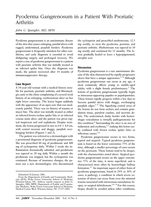 PDF extract preview