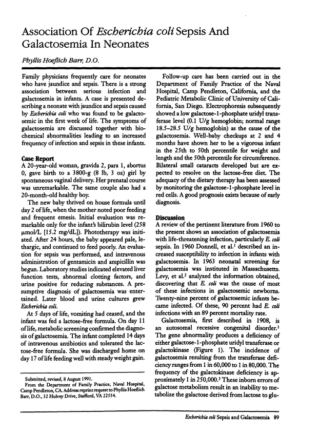 PDF extract preview