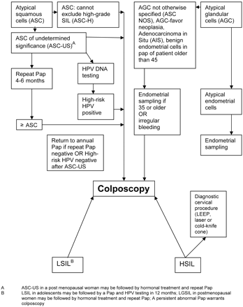 book cardiovascular intervention